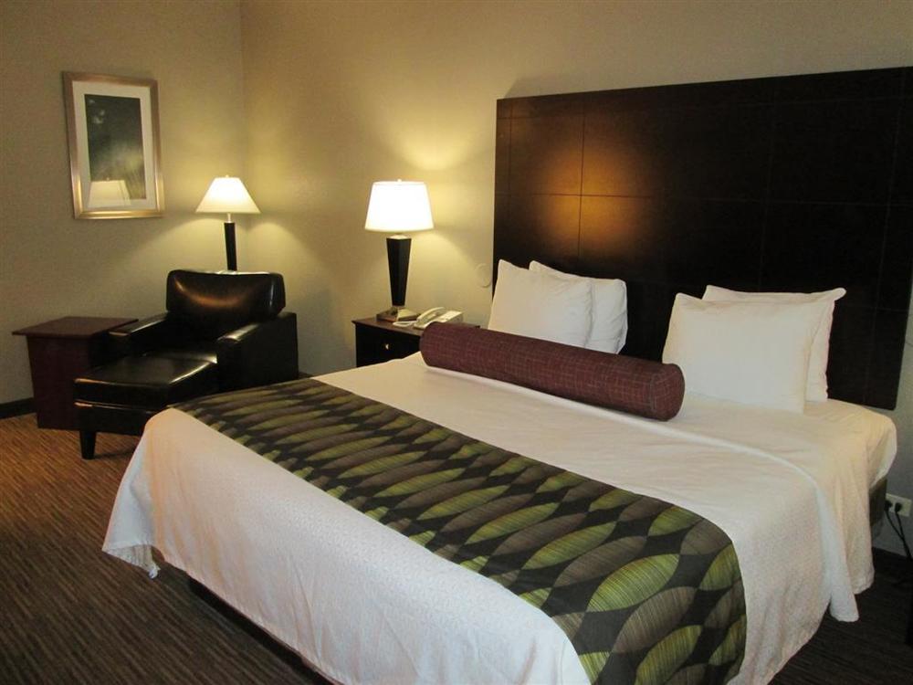 Best Western Plus O'Hare International South Hotel Franklin Park Kamer foto